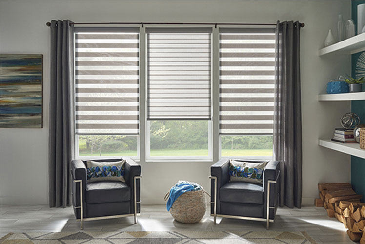 Comfortex Sheer Horizontal and Vertical Shadings